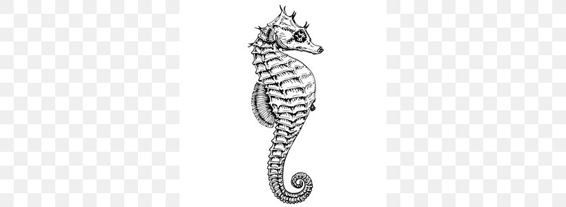 Seahorse Clip Art, PNG, 300x300px, Seahorse, Artwork, Black And White, Body Jewelry, Cuteness Download Free