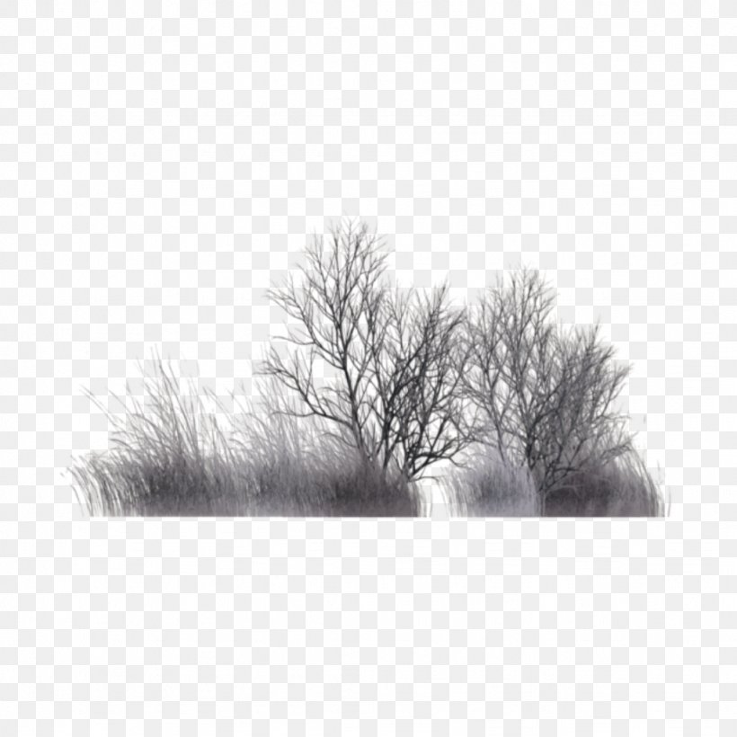 Tree Branch Silhouette, PNG, 1024x1024px, Branch, Atmospheric Phenomenon, Blackandwhite, Deviantart, Dongzhi Download Free
