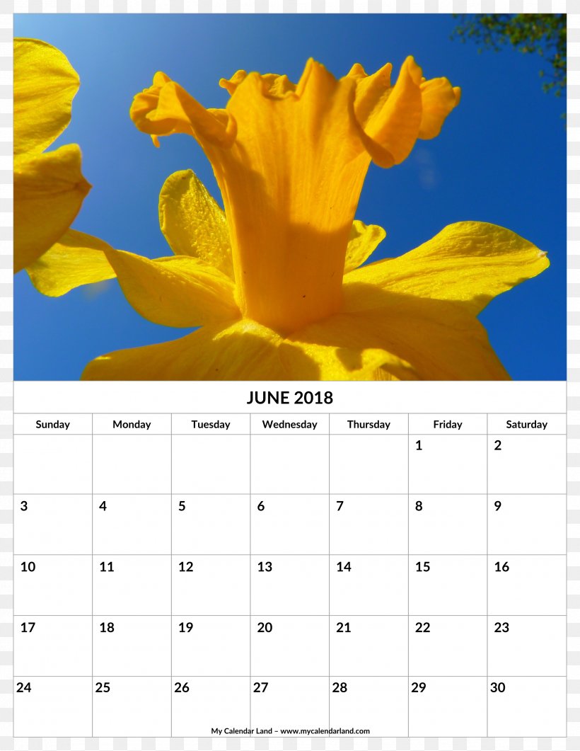 Calendar Birth Flower 0 June, PNG, 2550x3300px, 2017, 2018, Calendar, Birth Flower, Bunchflowered Daffodil Download Free