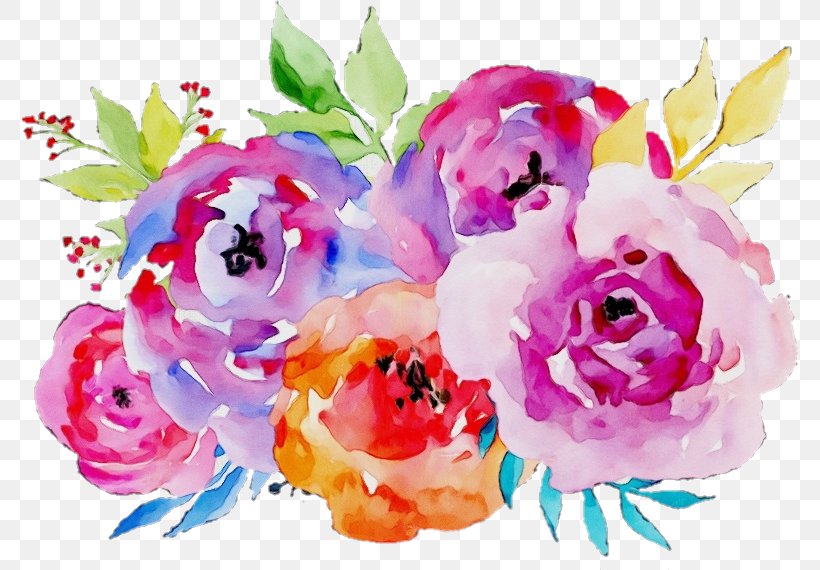 Garden Roses, PNG, 776x570px, Watercolor, Cut Flowers, Flower, Garden Roses, Paint Download Free