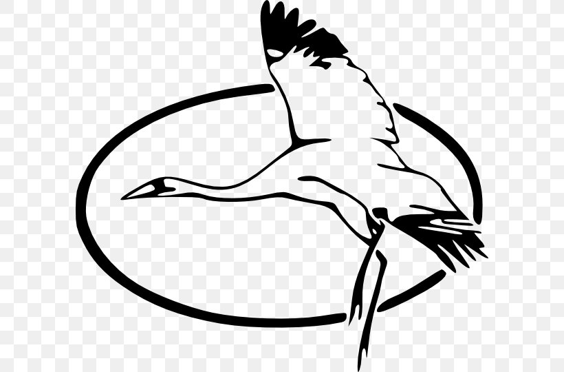 Great Blue Heron Clip Art, PNG, 600x540px, Heron, Art, Artwork, Beak, Bird Download Free