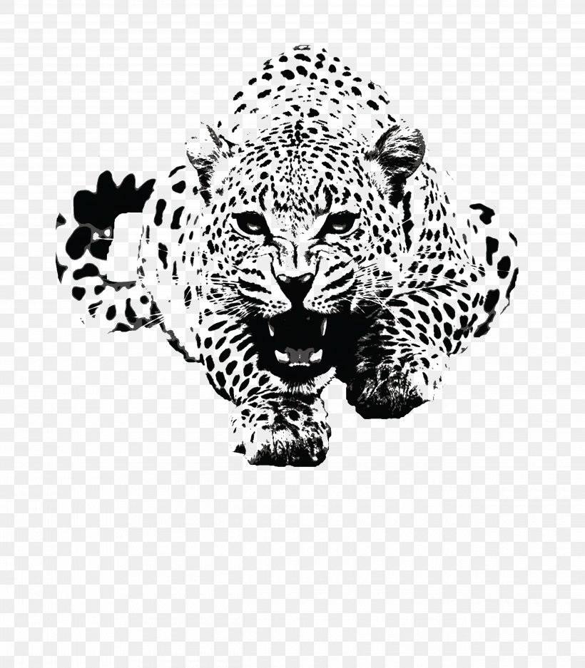 Leopard T-shirt Tiger Jaguar Top, PNG, 5000x5714px, Leopard, Animal Figure, Big Cats, Black, Black And White Download Free