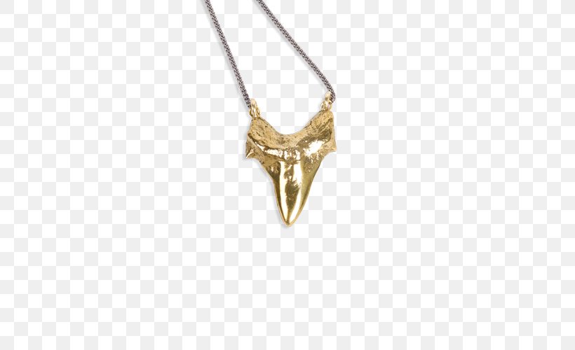 Necklace Shark Tooth Charms & Pendants Jewellery, PNG, 500x500px, Necklace, Bracelet, Chain, Charms Pendants, Cross Necklace Download Free