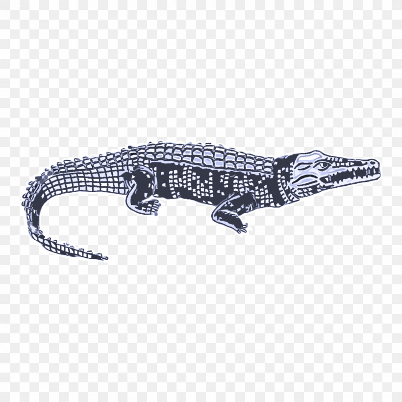 Crocodiles Jewellery Alligators Silver, PNG, 1400x1400px, Crocodiles, Alligators, Jewellery, Silver Download Free