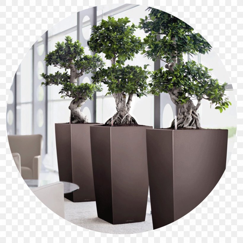 Flowerpot Bonsai Office Ornamental Plant Watering Cans, PNG, 1053x1053px, Flowerpot, Bonsai, Ceramic, Container, Container Garden Download Free