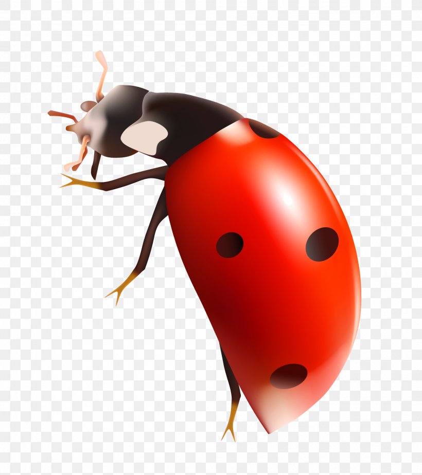 Ladybird Icon, PNG, 1994x2247px, Beetle, Arthropod, Image File Formats, Insect, Invertebrate Download Free