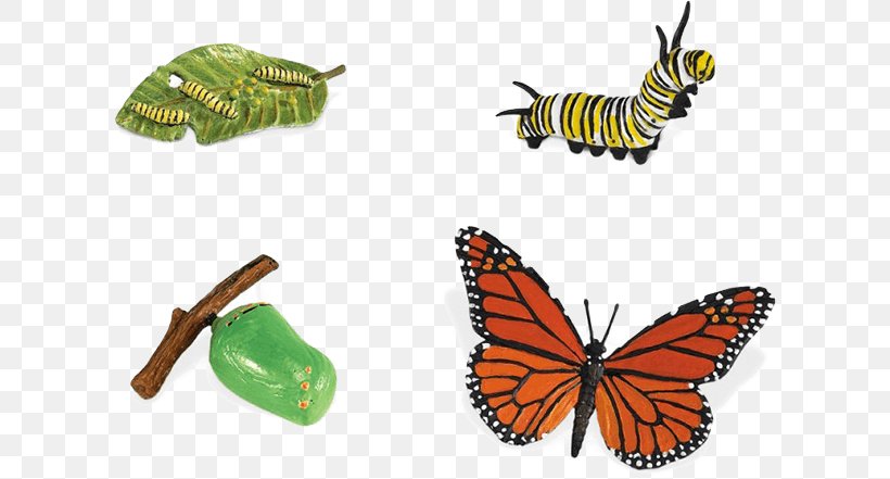 Monarch Butterfly, PNG, 610x441px, Butterfly, Animal Figure, Arthropod, Biological Life Cycle, Biology Download Free