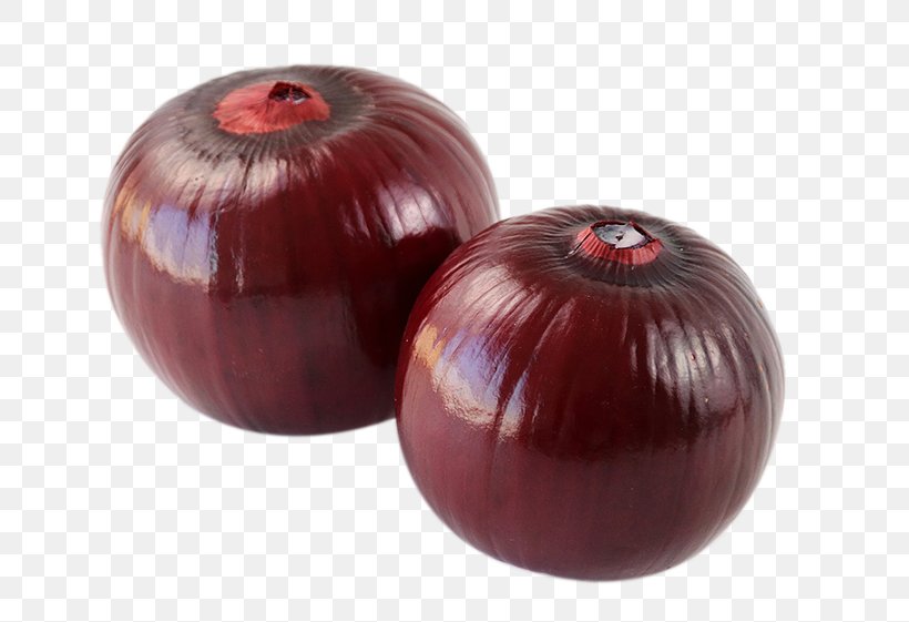 Red Onion Shallot Allium Fistulosum, PNG, 740x561px, Red Onion, Allium Fistulosum, Goods, Ingredient, Onion Download Free