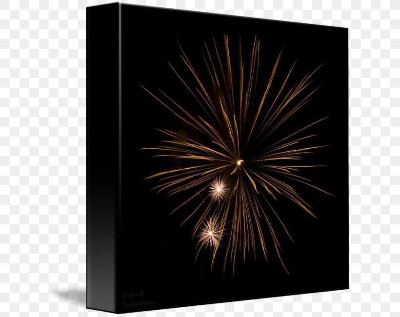 Stock Photography Fireworks, PNG, 627x650px, Stock Photography, Fireworks, Photography Download Free