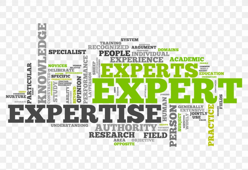 Adaptive Expertise Expert Witness Service SEO Sydney Solutions, PNG, 2048x1409px, Adaptive Expertise, Area, Brand, Business Marketing, Cover Letter Download Free