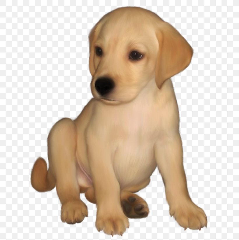 Labrador Retriever Golden Retriever Puppy Clip Art, PNG, 629x823px, Labrador Retriever, Animal, Breed, Carnivoran, Companion Dog Download Free
