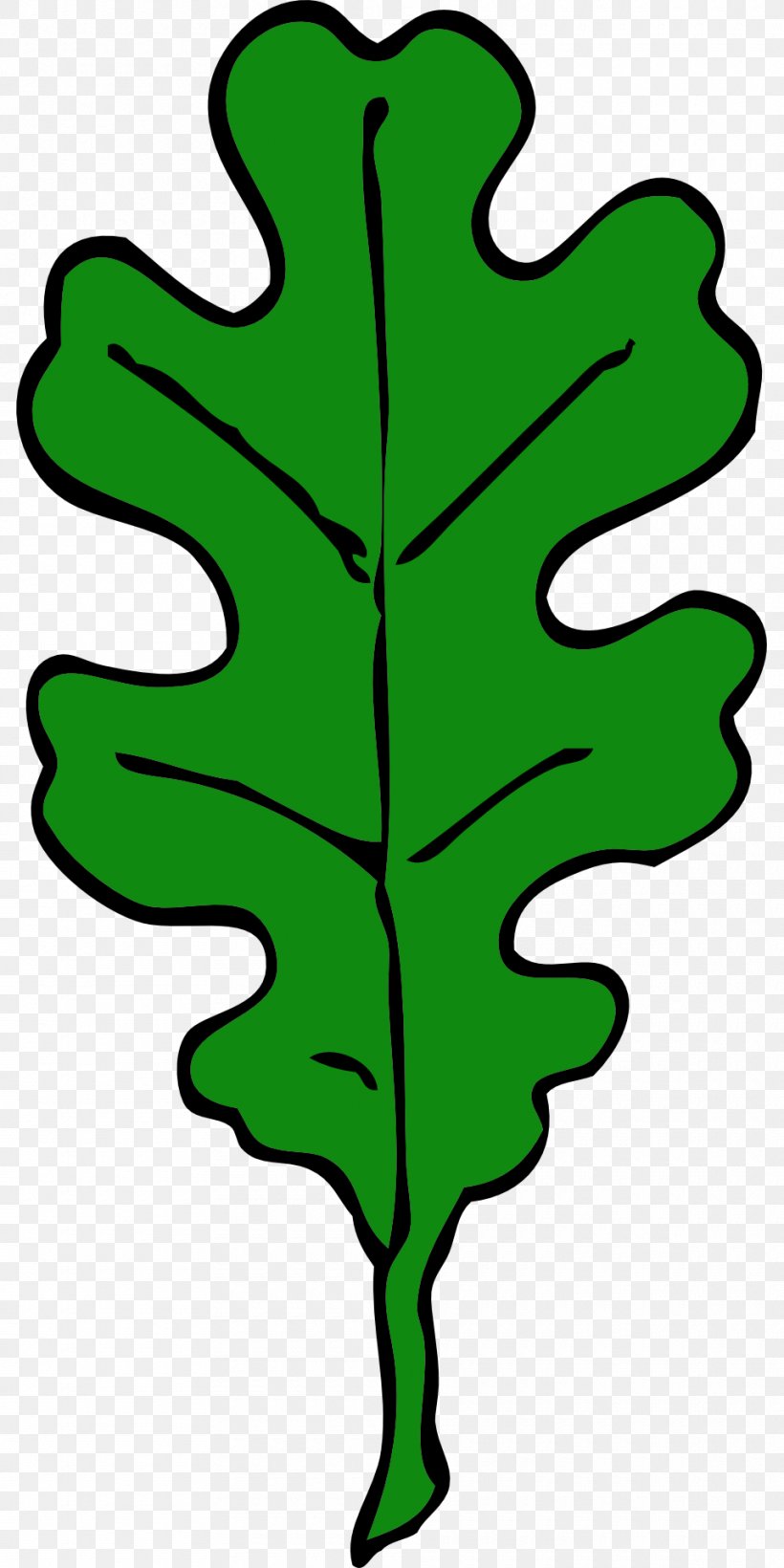 Leaf Acorn Clip Art, PNG, 960x1920px, Leaf, Acorn, Artwork, Autumn Leaf Color, Flowering Plant Download Free