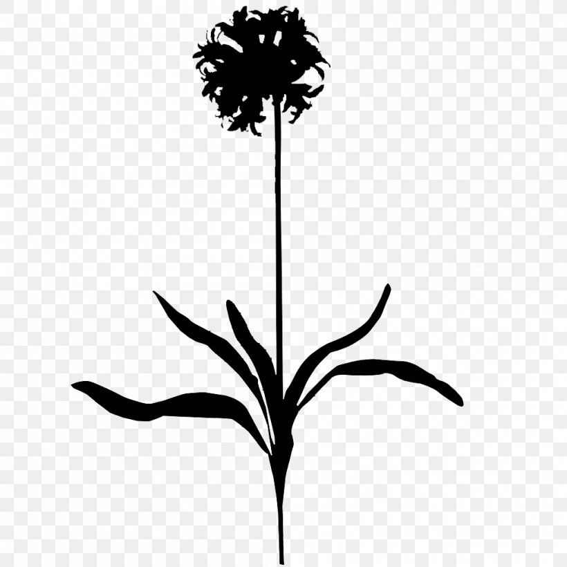 Twig Flower Plant Stem Clip Art Leaf, PNG, 1000x1000px, Twig, Arecales, Black M, Blackandwhite, Botany Download Free