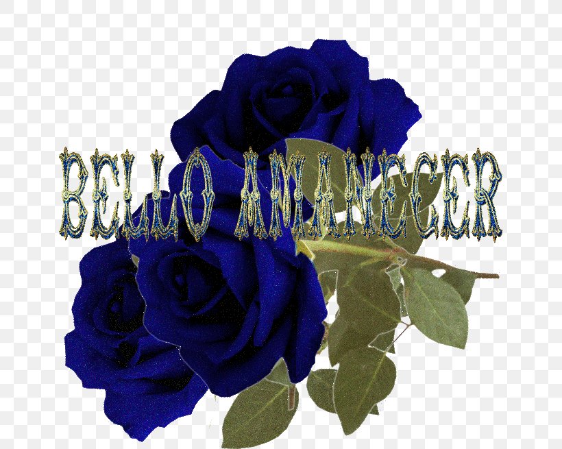 Blue Rose Poemas De Amor Garden Roses Cut Flowers, PNG, 655x655px, Blue Rose, Blue, Cobalt Blue, Cut Flowers, Electric Blue Download Free