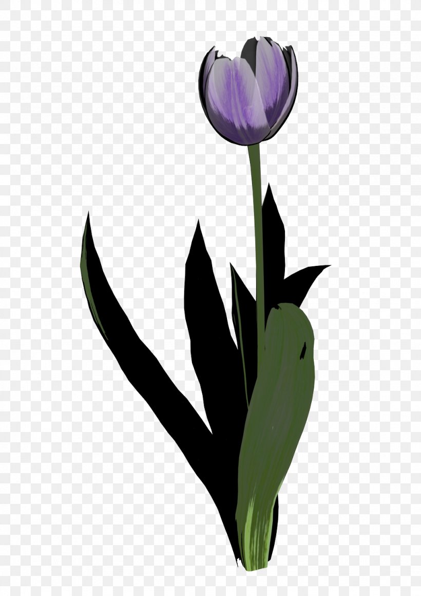 Clip Art Tulip Graphics Image Bing, PNG, 1024x1448px, Tulip, Bing, Discover Card, Discover Financial Services, Flower Download Free
