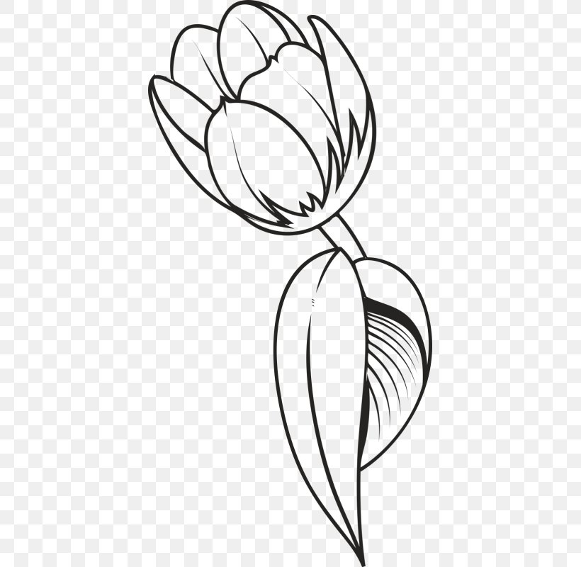 Drawing Tulip Flower Clip Art, PNG, 800x800px, Drawing, Artwork, Black And White, Colored Pencil, Coloring Book Download Free