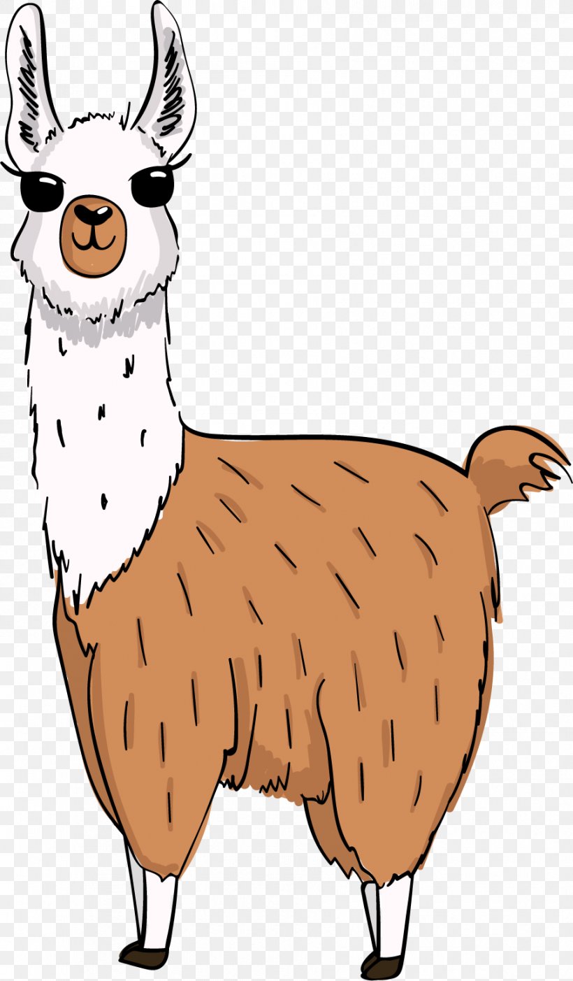 Llama, PNG, 905x1549px, Llama, Alpaca, Beak, Camelid, Cartoon Download Free