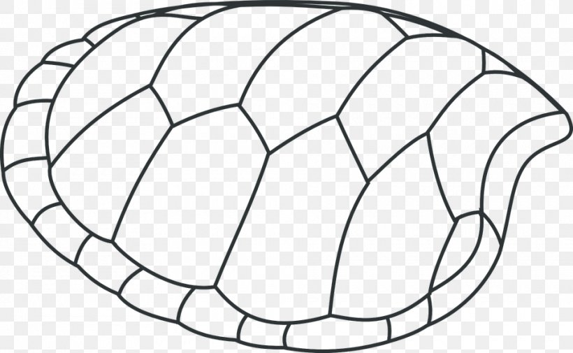 Turtle Shell Sea Turtle Coloring Book Seashell, PNG, 960x592px, Watercolor, Cartoon, Flower, Frame, Heart Download Free