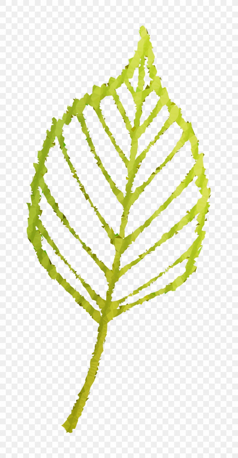 Twig Plant Stem Leaf Line Font, PNG, 1300x2500px, Twig, Botany, Flower, Leaf, Plant Download Free