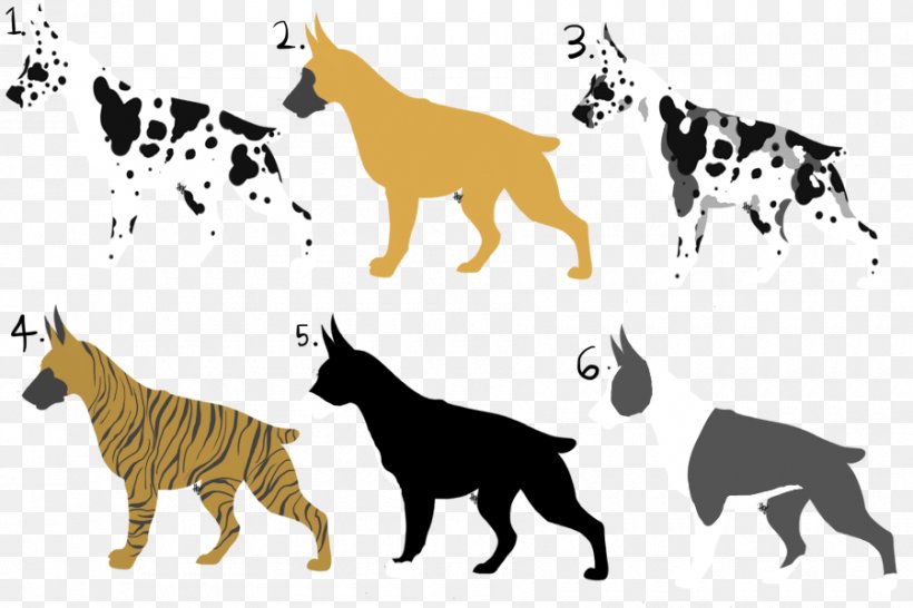 Cat Dog Breed Tiger Non-sporting Group, PNG, 900x600px, Cat, Big Cat, Big Cats, Breed, Carnivoran Download Free