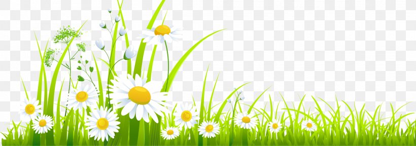 Clip Art Lawn Openclipart Image, PNG, 2285x804px, Lawn, Chamomile, Commodity, Document, Field Download Free