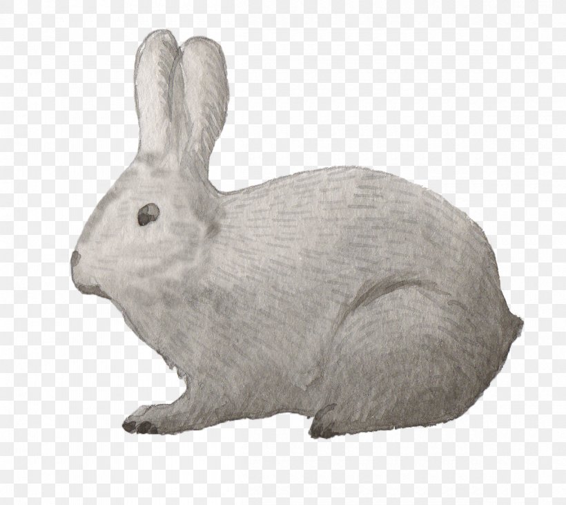 Domestic Rabbit Samsung Galaxy S7 Hare, PNG, 1200x1070px, Domestic Rabbit, Animal, Animal Figure, Drawing, Fauna Download Free