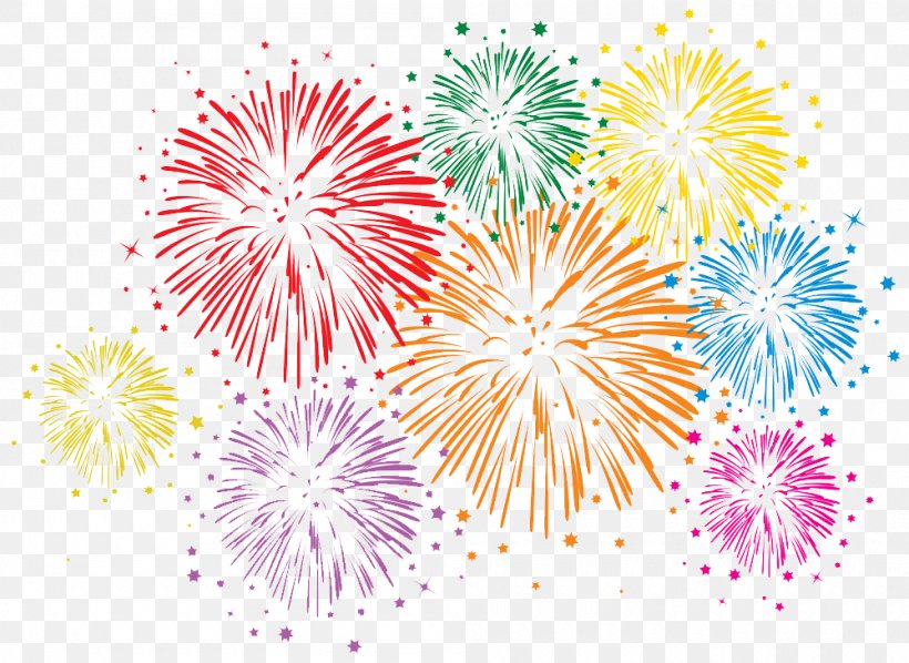 Fireworks Royalty-free Stock Photography, PNG, 1000x730px, Fireworks, Color, Dahlia, Drawing, Flower Download Free