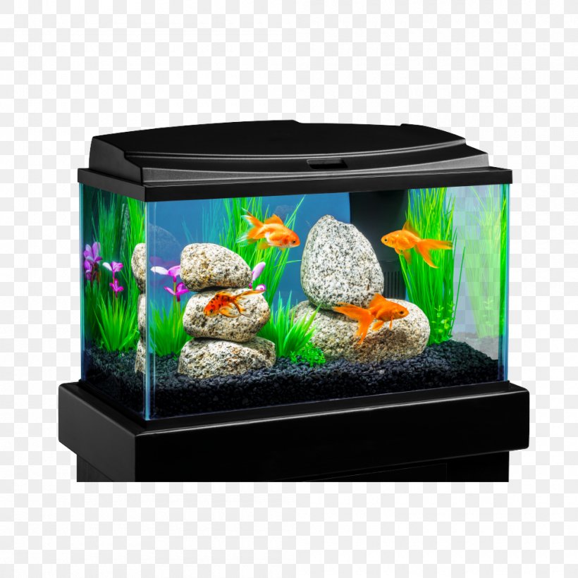 Goldfish Aquarium Tetra Crescent Kit Siamese Fighting Fish, PNG, 1000x1000px, Goldfish, Aquarium, Aquarium Decor, Aquarium Filters, Aquarium Fish Feed Download Free