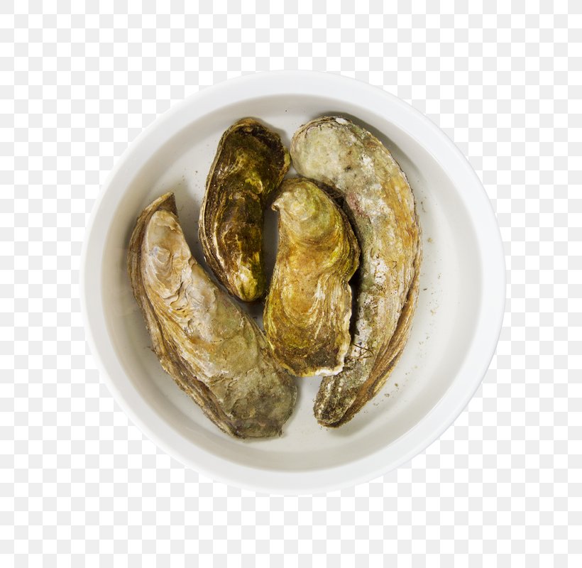 Oyster Clam Mussel Recipe Ingredient, PNG, 800x800px, Oyster, Animal Source Foods, Clam, Clams Oysters Mussels And Scallops, Food Download Free