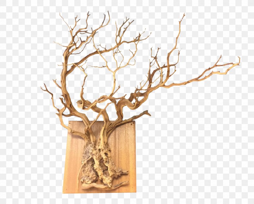 Twig Root Wall Wood Tree Chairish, PNG, 3226x2589px, Twig, Antler, Branch, Chairish, Driftwood Download Free