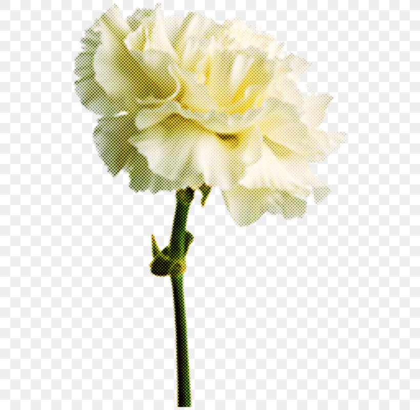 Artificial Flower, PNG, 549x800px, Carnation, Artificial Flower, Birth Flower, Cut Flowers, Floristry Download Free