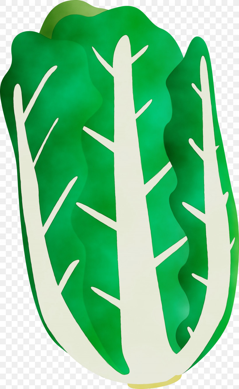Green Logo Symbol, PNG, 1845x3000px, Nappa Cabbage, Green, Logo, Paint, Symbol Download Free