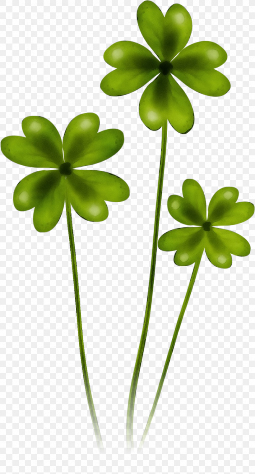 Leaf Green Flower Plant Clover, PNG, 860x1600px,  Download Free