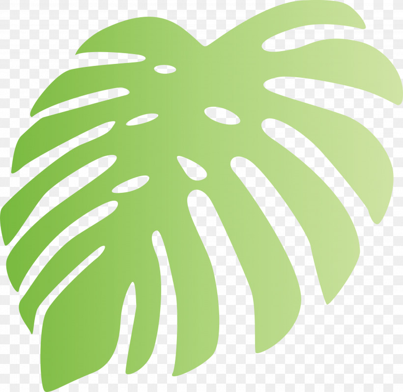 Monstera Tropical Leaf, PNG, 3000x2919px, Monstera, Fruit, Green, Leaf, Line Download Free