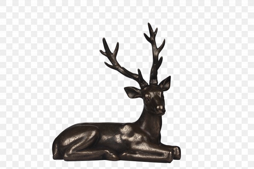 Reindeer Antler, PNG, 4752x3168px, Reindeer, Antler, Black, Deer, Horn Download Free