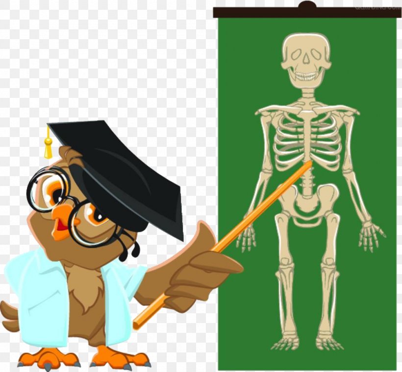 Student Teacher Anatomy Human Skeleton, PNG, 1000x928px, Watercolor, Cartoon, Flower, Frame, Heart Download Free