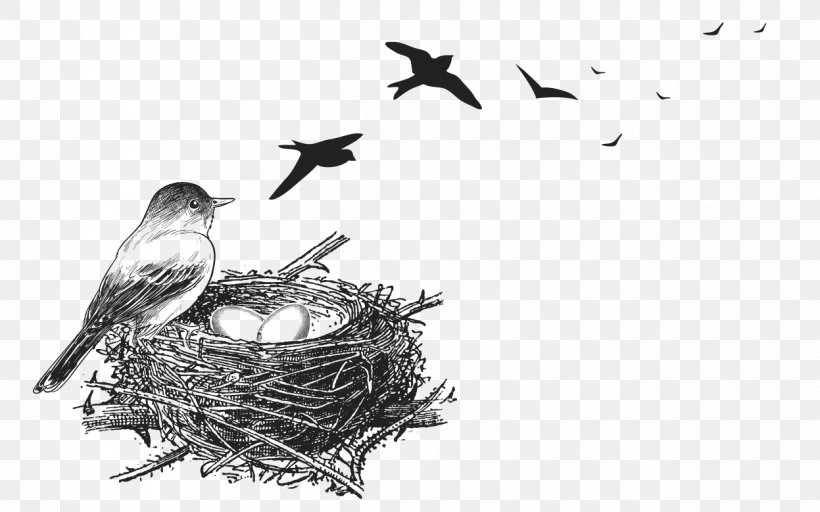 Vector Graphics Bird Nest Stock Photography, PNG, 1247x779px, Bird Nest, Bird, Blackandwhite, Nest, Royaltyfree Download Free