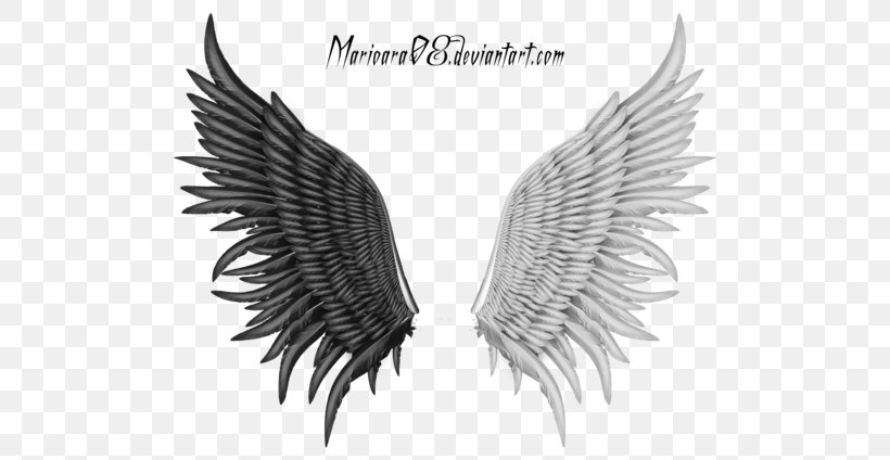 Angel Feathers, PNG, 600x424px, Wing, Adobe Systems, Angel, Black And White, Document Download Free