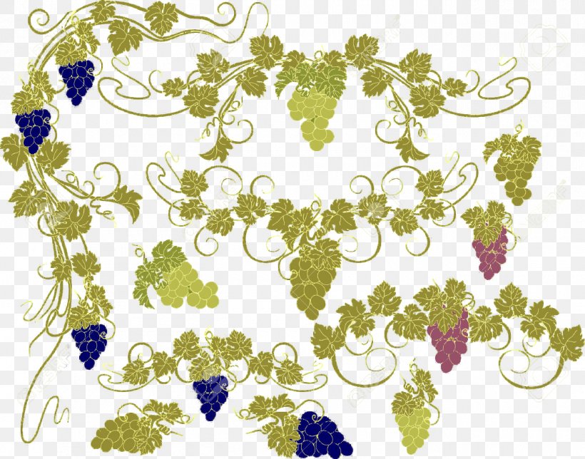 Common Grape Vine Clip Art, PNG, 1300x1021px, Common Grape Vine, Art, Border, Branch, Drawing Download Free