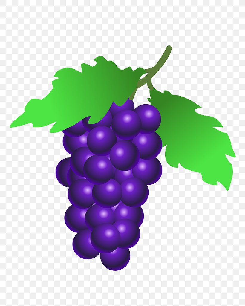 Common Grape Vine Grape Leaves Clip Art, PNG, 768x1024px, Common Grape Vine, Drawing, Flowering Plant, Food, Fruit Download Free