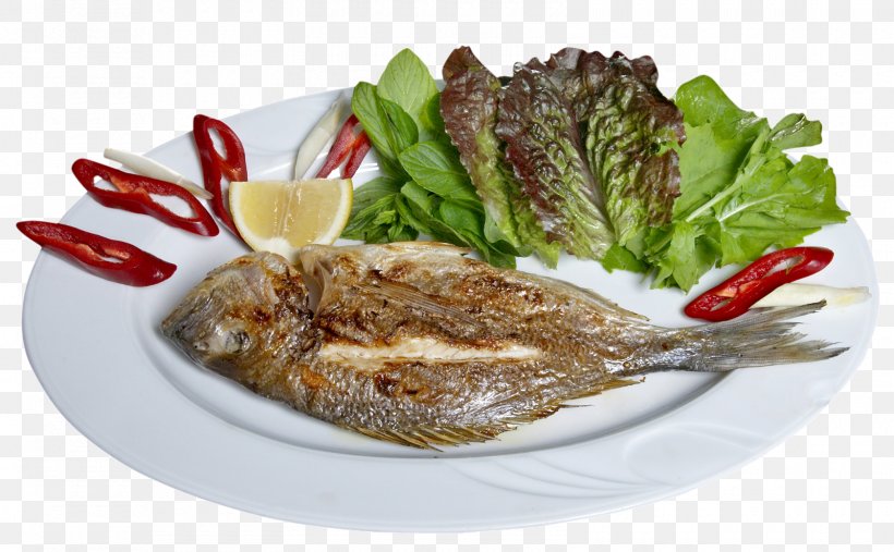 Fried Fish Moqueca Grilling Fish Sauce, PNG, 1600x991px, Fish, Animal Source Foods, Atlantic Cod, Dish, European Anchovy Download Free