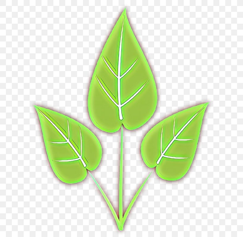 Leaf Green Plant Clip Art Logo, PNG, 637x800px, Cartoon, Anthurium, Flower, Green, Leaf Download Free