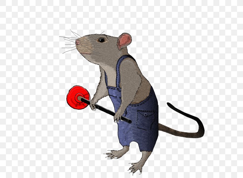 Rat Mouse Rodent Murids Animal, PNG, 563x600px, Rat, Animal, Animal Figure, Fauna, Mammal Download Free