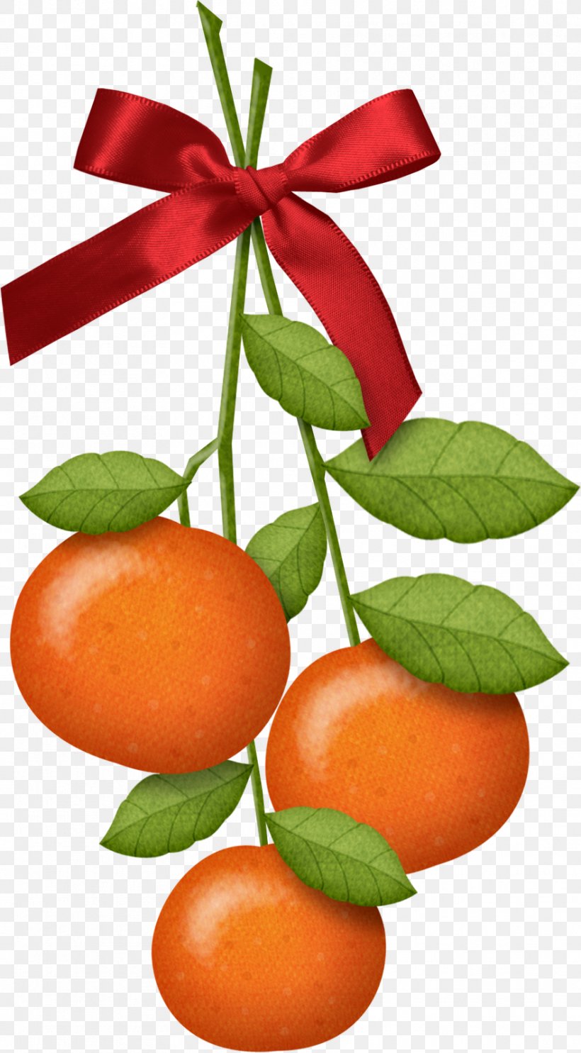 Tangyuan Mandarin Orange Chinese New Year, PNG, 883x1600px, Tangyuan, Apple, Bitter Orange, Calamondin, Chinese New Year Download Free