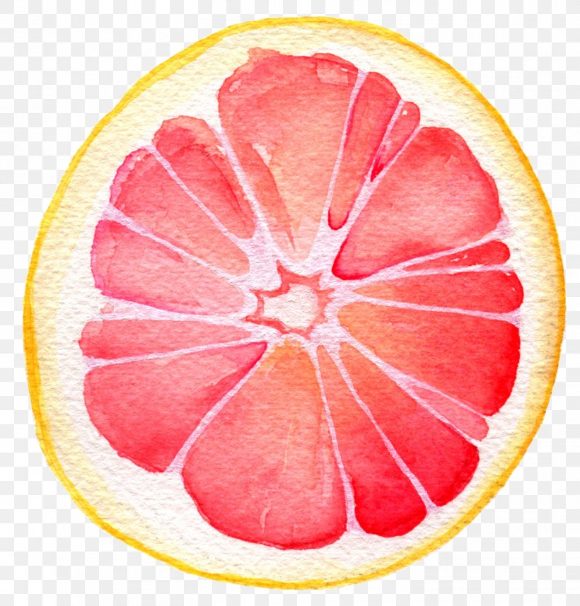 Grapefruit Juice Pomelo Lemon Watercolor Painting, PNG, 1416x1480px, Grapefruit, Art, Citrus, Food, Fruit Download Free