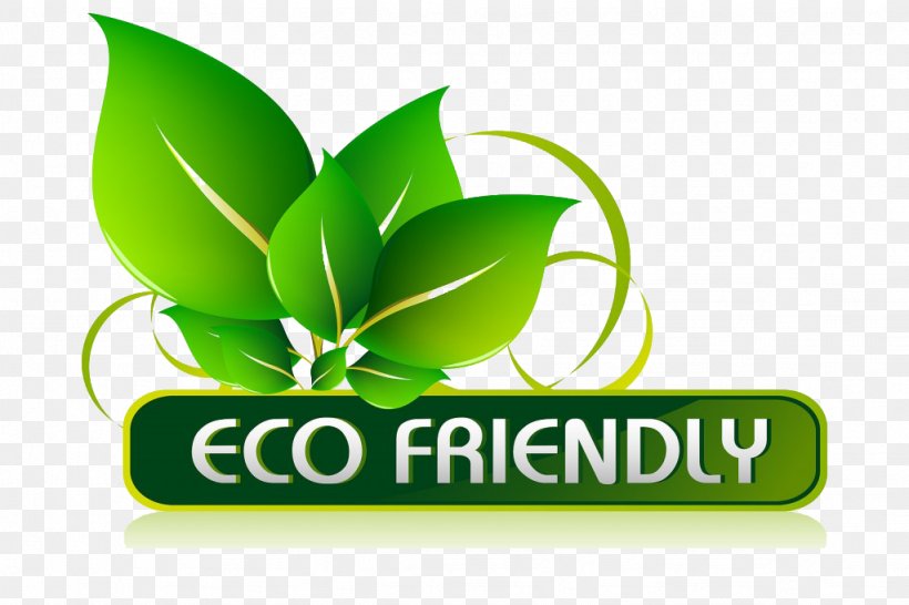Green Environmentally Friendly Natural Environment Biophysical Environment Logo, PNG, 1024x682px, Green, Biodegradable Waste, Biophysical Environment, Brand, Detergent Download Free
