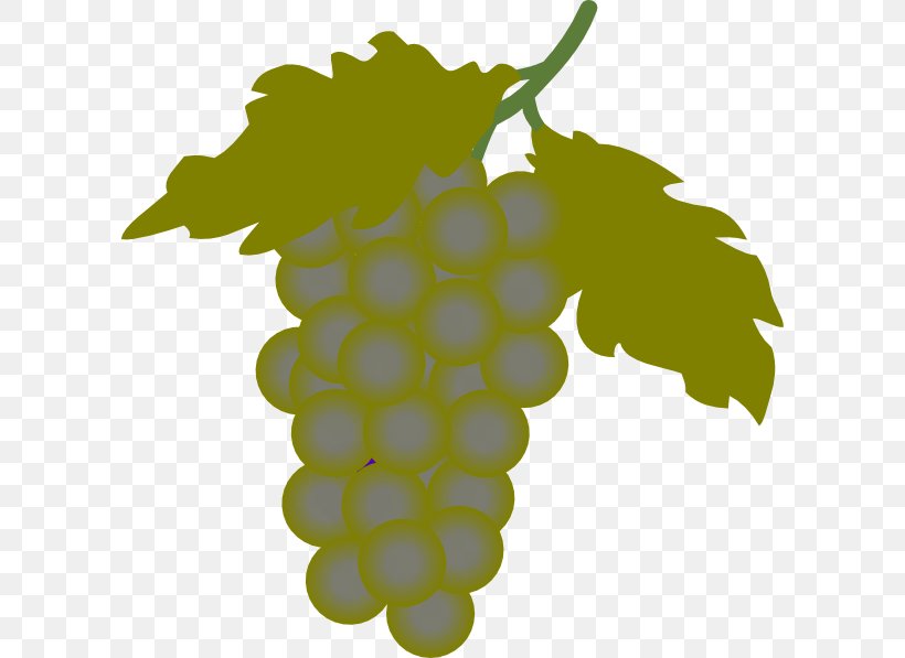 Wine Common Grape Vine Clip Art, PNG, 600x597px, Wine, Blog, Common Grape Vine, Flowering Plant, Food Download Free