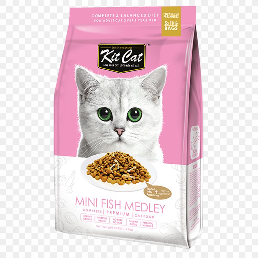 Cat Food Dog Pet Shop, PNG, 1000x1000px, Cat Food, Cat, Cat Like Mammal, Cat Litter Trays, Cat Supply Download Free