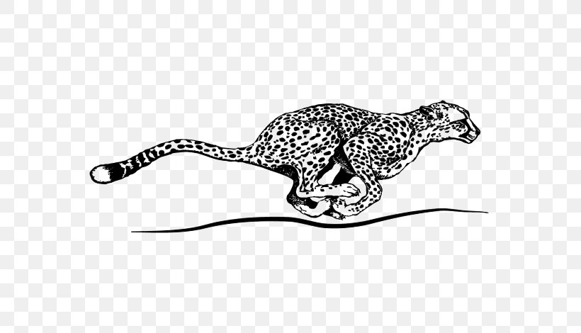 Cheetah Cougar Jaguar Leopard Coloring Book, PNG, 600x470px, Cheetah, Animal, Animal Figure, Big Cats, Black And White Download Free
