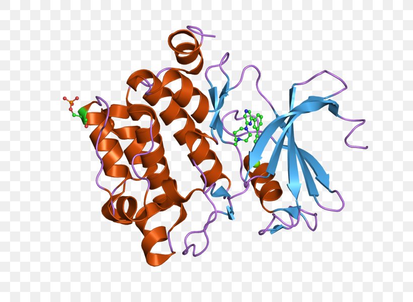 Epidermal Growth Factor Receptor Serine/threonine-specific Protein Kinase PIM1, PNG, 800x600px, Watercolor, Cartoon, Flower, Frame, Heart Download Free
